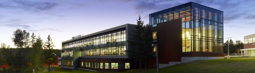 Steve Cairns RN, PhD